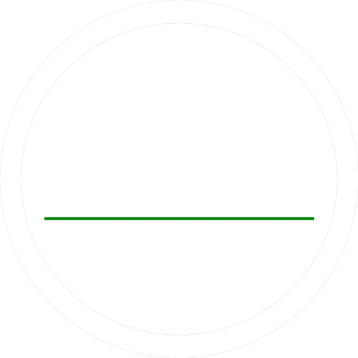 T360 Photography